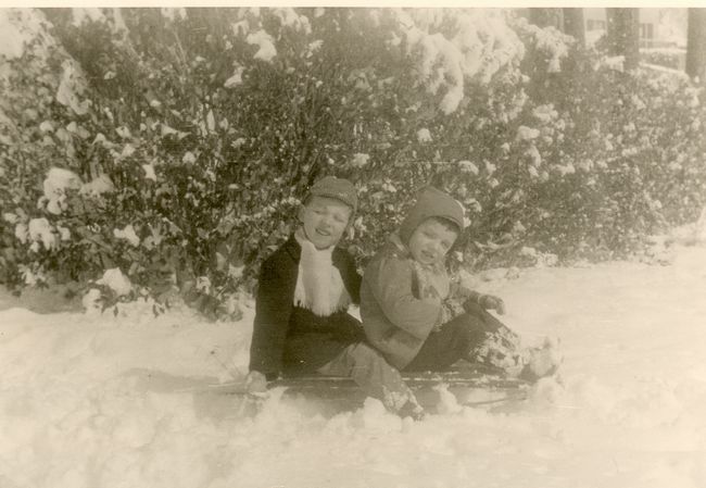 Click to see next picture