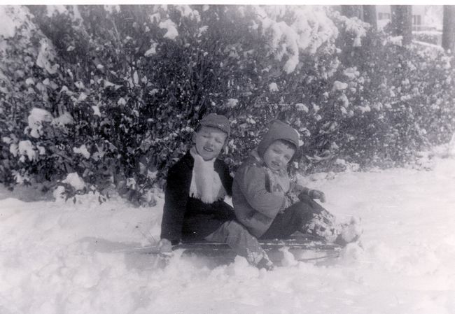 Click to see next picture