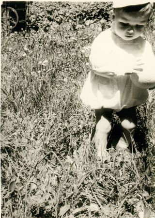 Click to see next picture