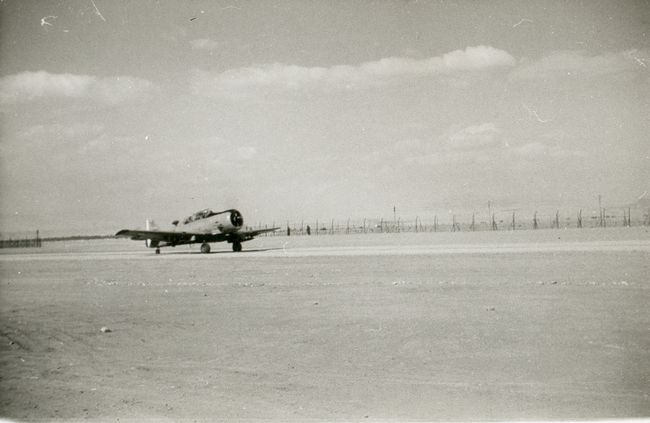 Click to see next picture