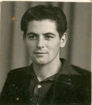 Click to see big picture (395x450 pixels; 27 KB)