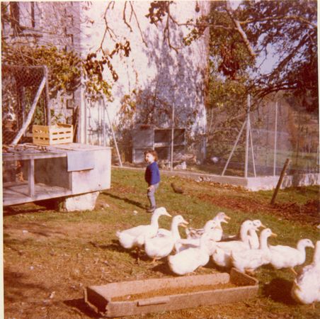 Click to see next picture