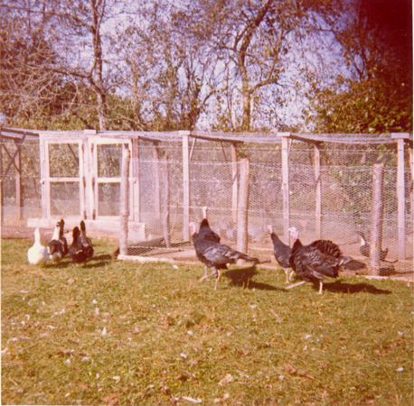 Click to see next picture