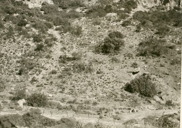 Click to see next picture