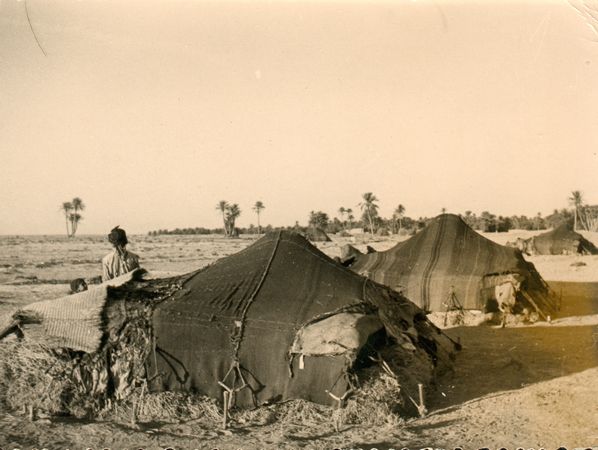 Click to see next picture