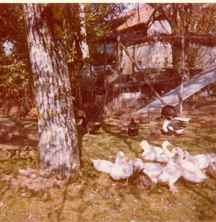 Click to see next picture