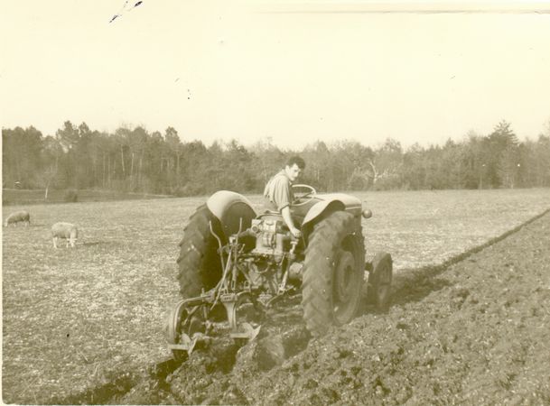 Click to see next picture