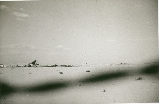 Click to see next picture