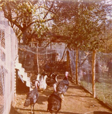 Click to see next picture