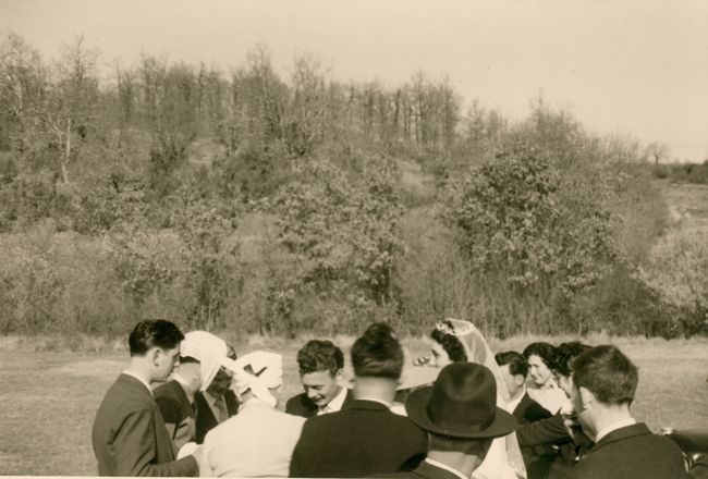 Click to see next picture