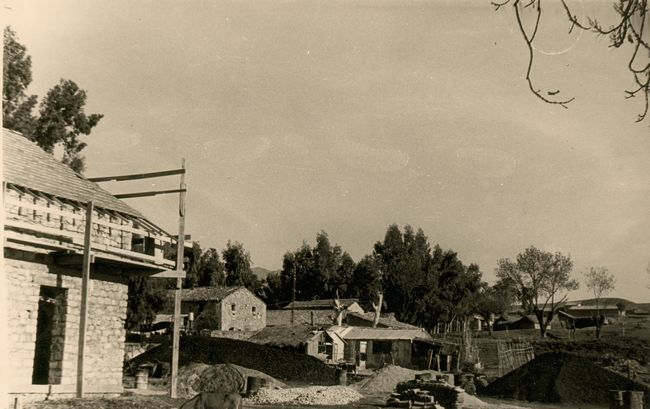 Click to see next picture