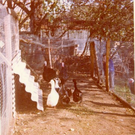 Click to see next picture