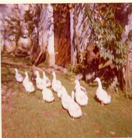 Click to see next picture