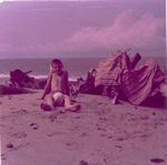 Click to see big picture (452x450 pixels; 29 KB)