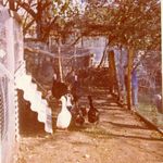 Click to see big picture (450x450 pixels; 52 KB)