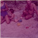 Click to see big picture (450x450 pixels; 34 KB)