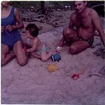 Click to see big picture (450x450 pixels; 38 KB)