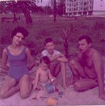 Click to see big picture (444x450 pixels; 38 KB)