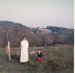 Click to see big picture (460x450 pixels; 31 KB)