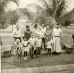 Click to see big picture (460x450 pixels; 45 KB)