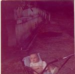 Click to see big picture (458x450 pixels; 32 KB)