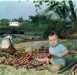 Click to see big picture (460x450 pixels; 57 KB)