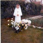 Click to see big picture (459x450 pixels; 47 KB)