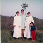 Click to see big picture (452x450 pixels; 33 KB)