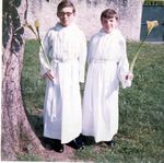 Click to see big picture (454x450 pixels; 48 KB)