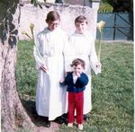 Click to see big picture (458x450 pixels; 52 KB)