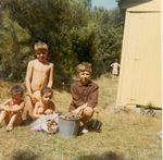 Click to see big picture (460x450 pixels; 45 KB)