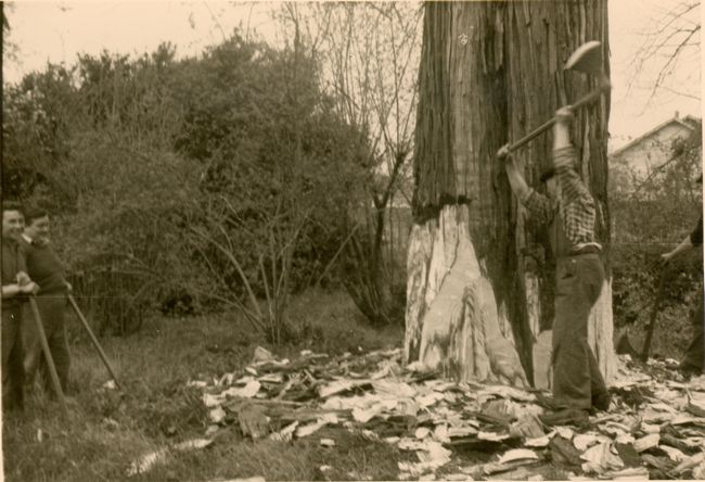 Click to see next picture