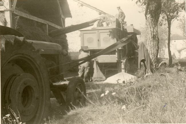 Click to see next picture