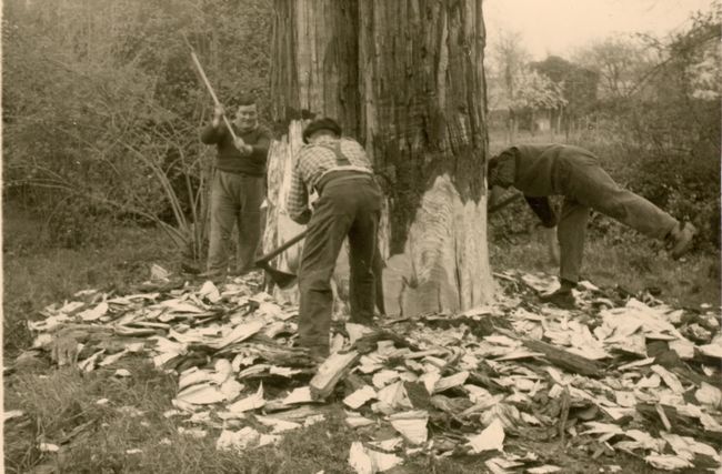 Click to see next picture