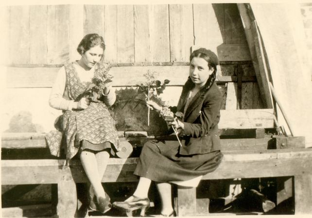 Click to see next picture