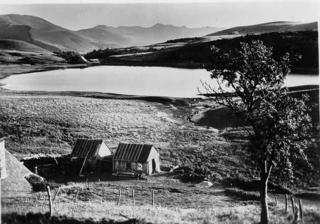 Click to see next picture