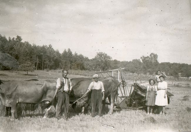 Click to see next picture