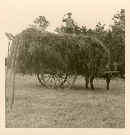 Click to see next picture