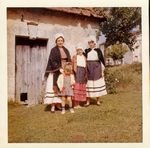 Click to see big picture (457x450 pixels; 52 KB)