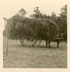 Click to see big picture (434x450 pixels; 37 KB)